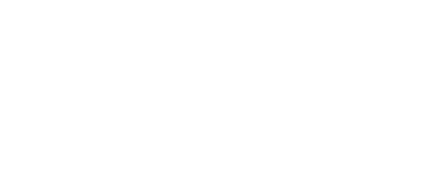 SkAI
